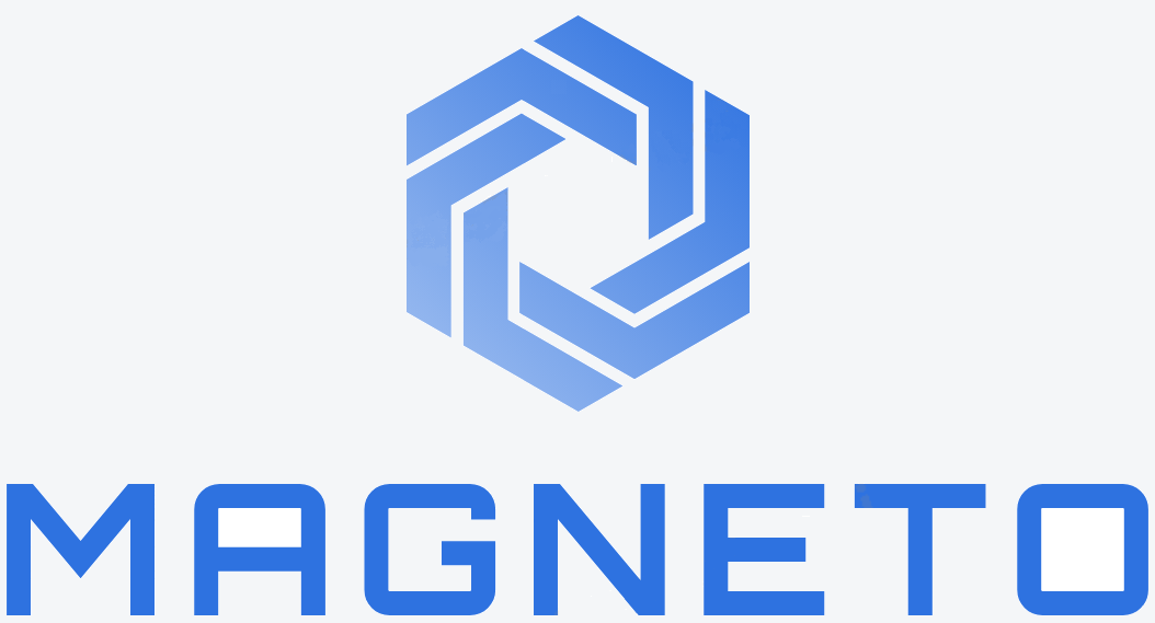 Magneto Electronic Security and IT Solutions